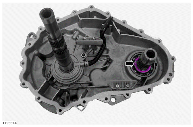 Transfer Case Front Output Seal